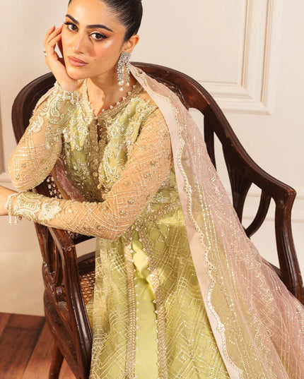 Mushq | Mint Green Net Hand Embellished Gown