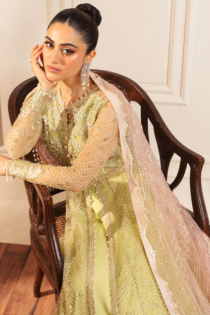 Mushq | Mint Green Net Hand Embellished Gown