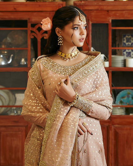 Hala | Pink Embellished Jamawar Sharara