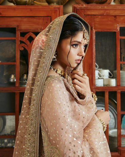 Hala | Pink Embellished Jamawar Sharara