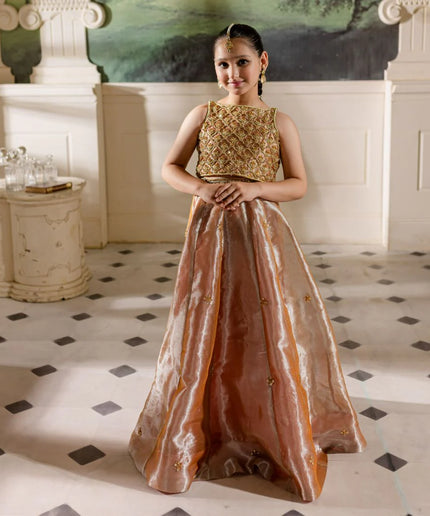 Hena | Girls Pink Gold Tissue Silk Embellished Lehenga Choli