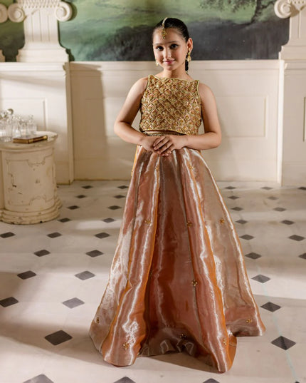 Hena | Girls Pink Gold Tissue Silk Embellished Lehenga Choli