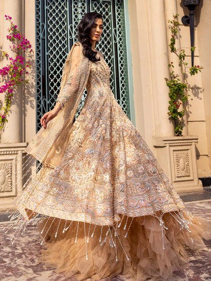 Ivorie | Peachy Net Embellished Gown