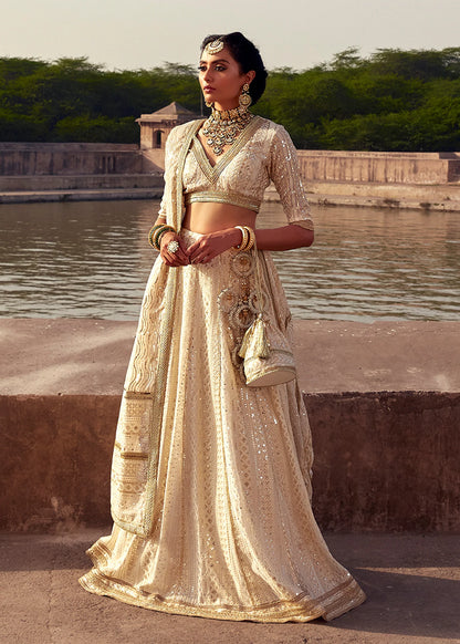 Jahan Ara | Chicken Kari Embellished Lehenga Choli