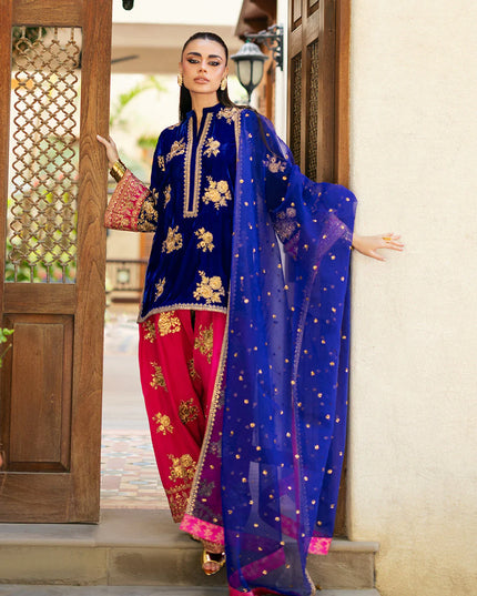 Jia | Navy Blue Velvet Embroidered Farshi Shalwar