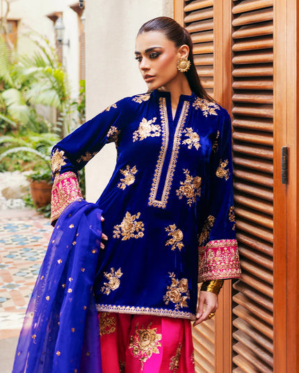 Jia | Navy Blue Velvet Embroidered Farshi Shalwar
