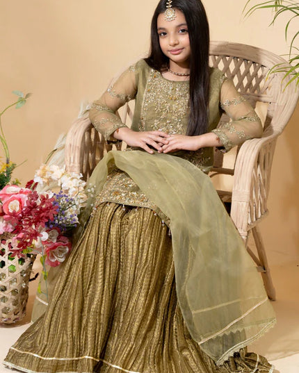 Aaliya | Girls Olive Organa Crush Lehenga