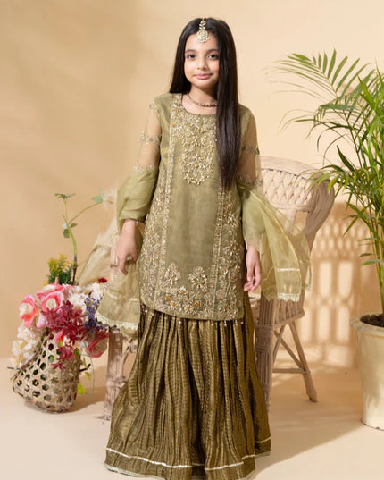 Aaliya | Girls Olive Organa Crush Lehenga