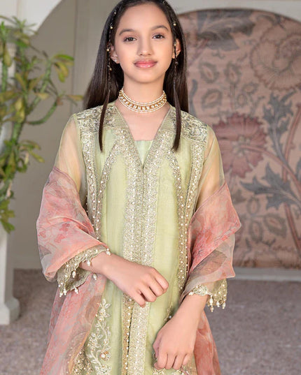 Malhaar | Girls Green Organza Embroidered Dress