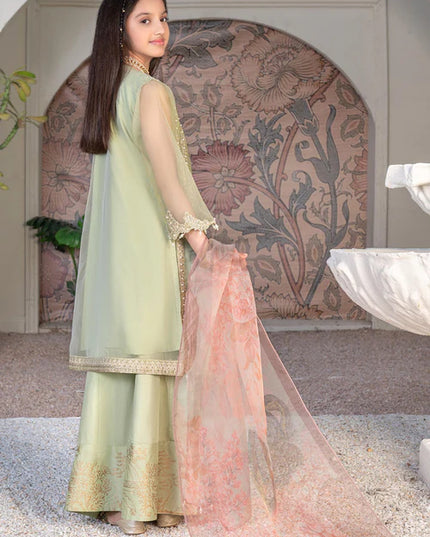 Malhaar | Girls Green Organza Embroidered Dress
