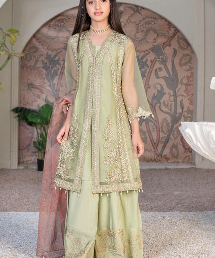 Malhaar | Girls Green Organza Embroidered Dress