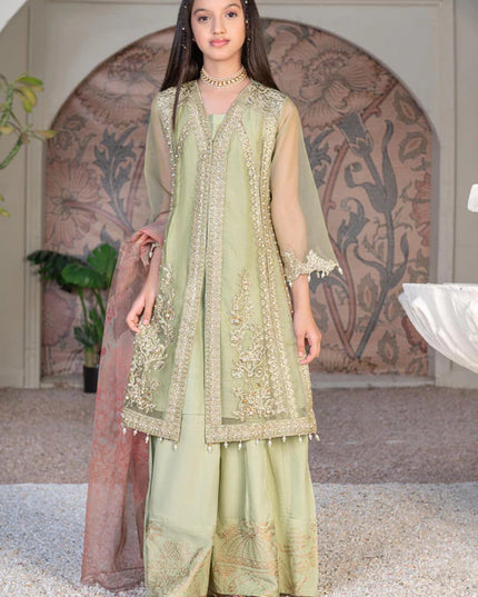 Malhaar | Girls Green Organza Embroidered Dress