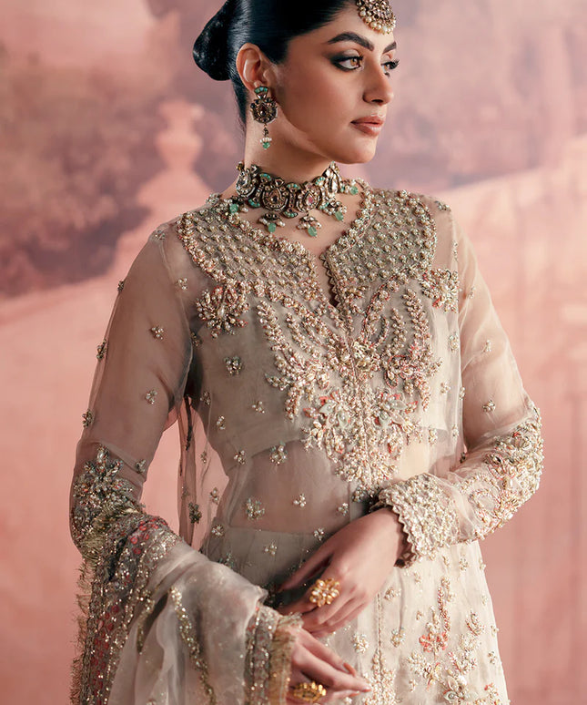 Meher | Peach Net Hand Embellished Embroidered Sharara
