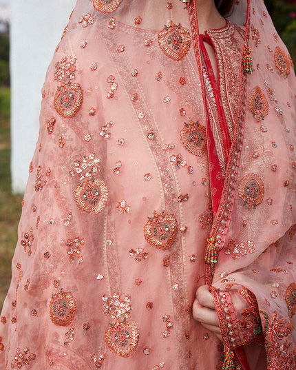 Hussain Rehar | Peach Embroidered Lawn Sharara