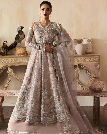 Nure | Rust Organza Hand Embellished Frock