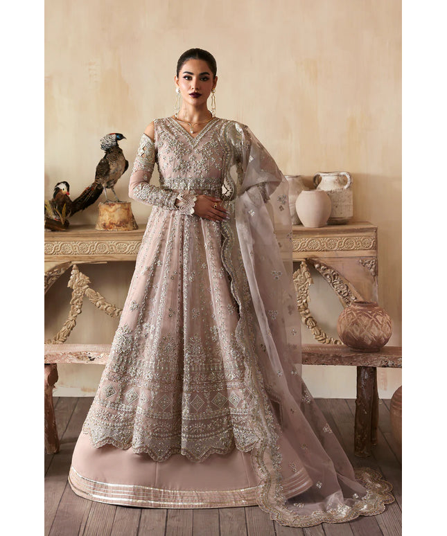 Nure | Rust Organza Hand Embellished Frock