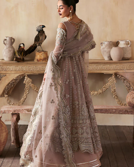 Nure | Rust Organza Hand Embellished Frock