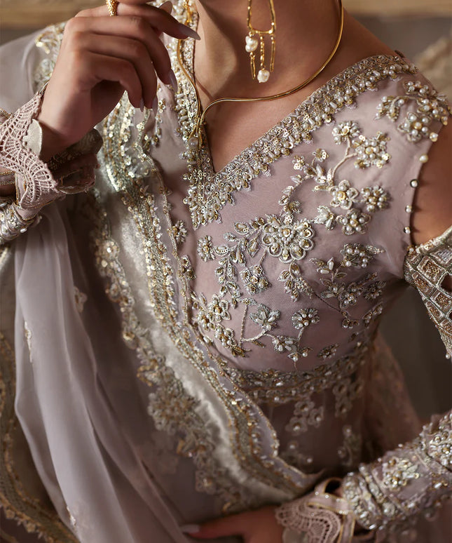 Nure | Rust Organza Hand Embellished Frock