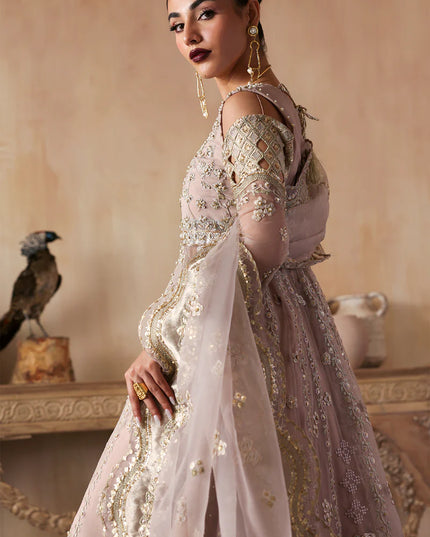 Nure | Rust Organza Hand Embellished Frock