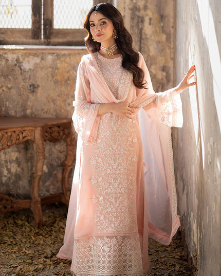 Pink Mirage | Embroidered Chiffon Suit