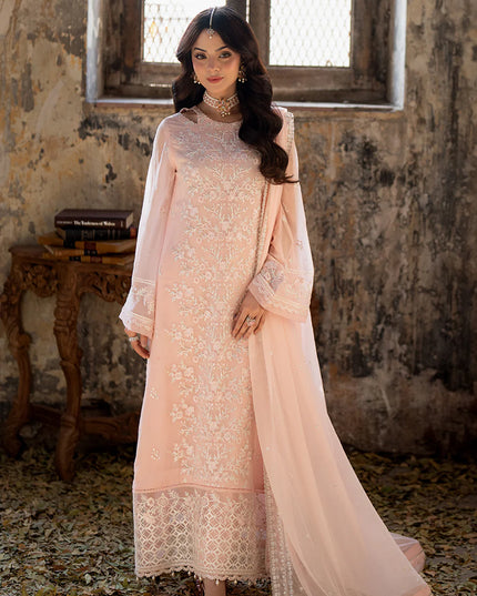 Pink Mirage | Embroidered Chiffon Suit