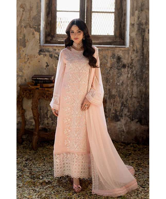 Pink Mirage | Embroidered Chiffon Suit