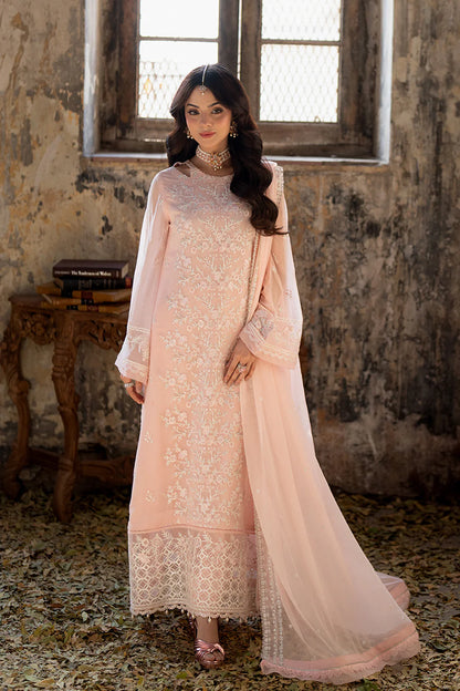 Pink Mirage | Embroidered Chiffon Suit