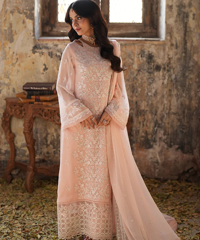 Pink Mirage | Embroidered Chiffon Suit