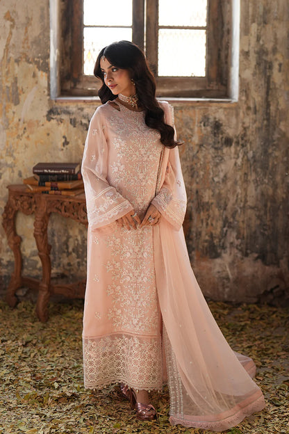 Pink Mirage | Embroidered Chiffon Suit