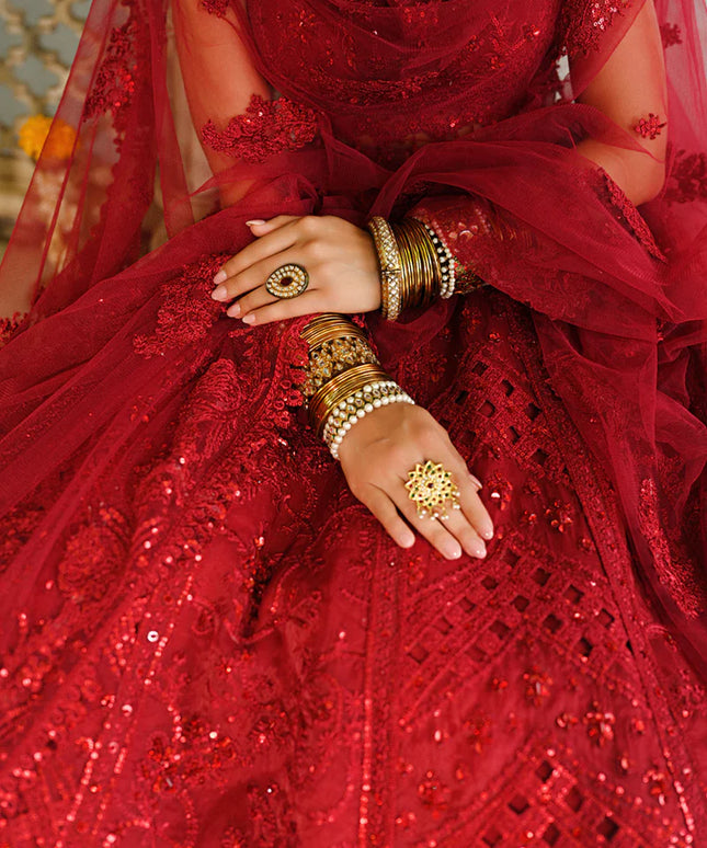 Qalamkar | Red Raw Silk Hand Embroidered Lehenga