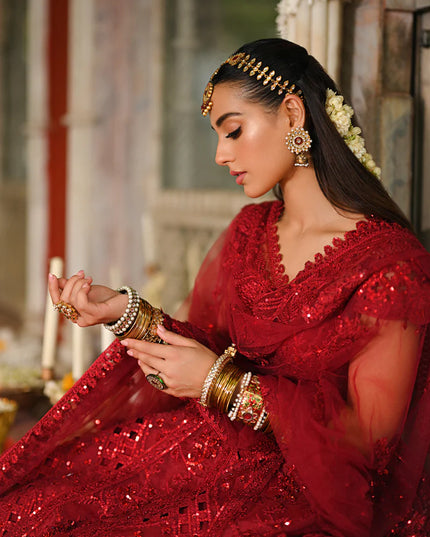 Qalamkar | Red Raw Silk Hand Embroidered Lehenga