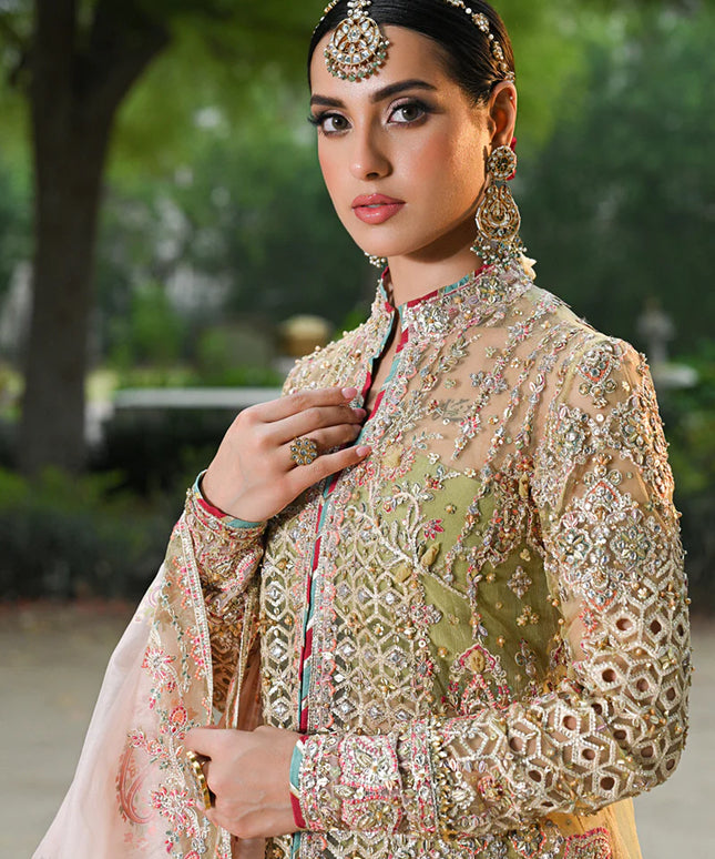 Qalamkar | Pistachio Green Net Embroidered Sharara