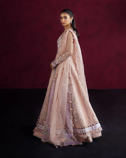 Osra | Blush Pink Organza Hand Embellished Lehenga