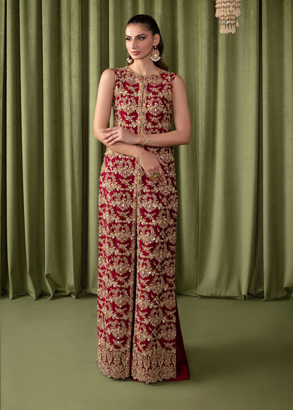 Ruby | Red Tissue Silk Embellished Set