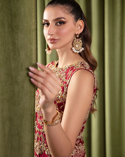 Ruby | Red Tissue Silk Embellished Set