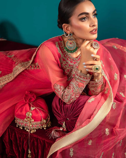 Maria B | Luxury Formals Embroidered Organza Sharara