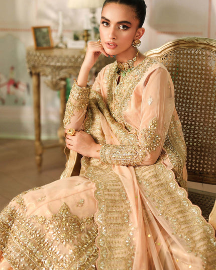 Maria B | Peach Embroidered Net Sharara