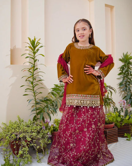 Shanzey | Girls Olive Embroidered Lehenga