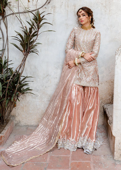 Safa | Light Pink Pure Tissue Hand Embellished Gharara