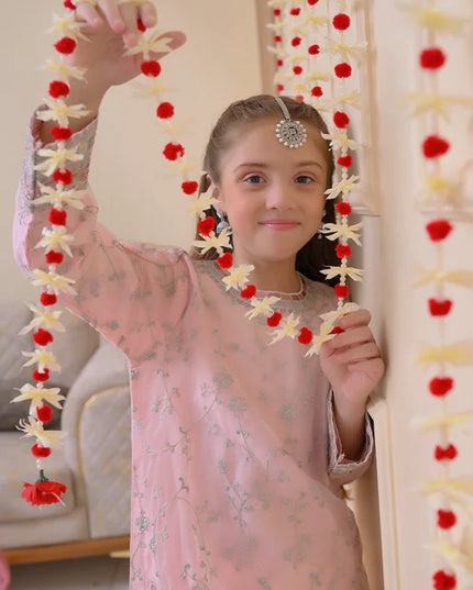 Sana | Girls Pastel Pink Organza Embroidered Suit