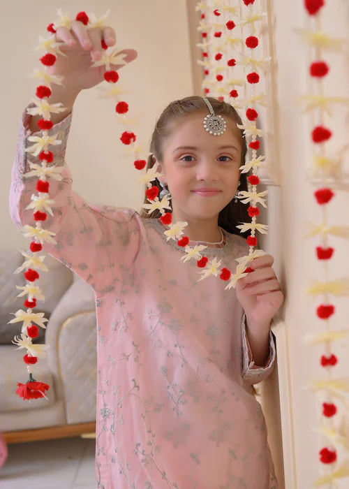 Sana | Girls Pastel Pink Organza Embroidered Suit
