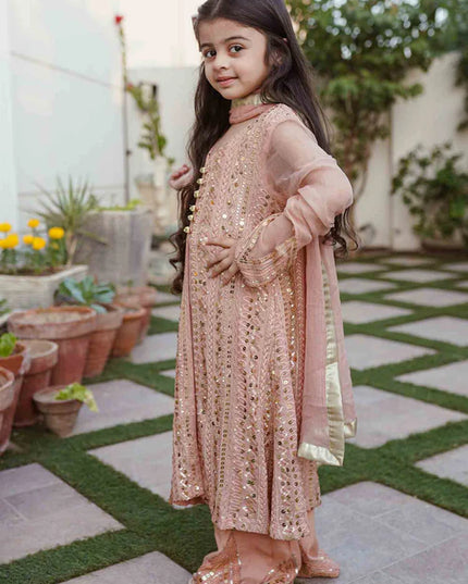 Ufaq | Girls Peach Chikankari Embellished Gown