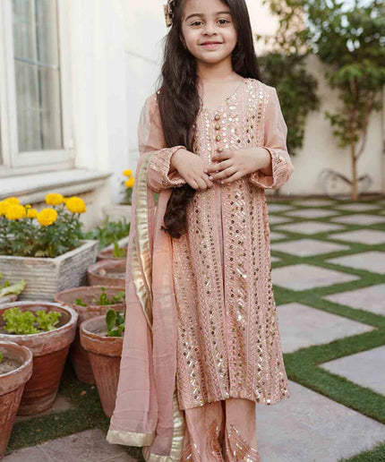 Ufaq | Girls Peach Chikankari Embellished Gown