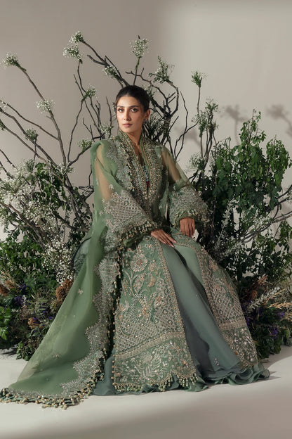 Elan | Green Embroidered Embellished Organza Jacket Sharara