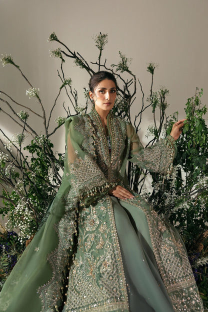 Elan | Green Embroidered Embellished Organza Jacket Sharara