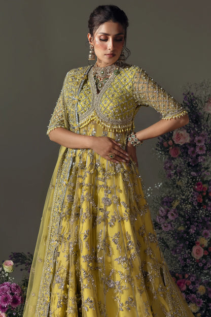 Elan | Lime Yellow Embroidered Embellished Net Maxi Dress