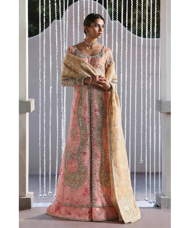 Velora | Pink Printed Silk Hand Embellished Gown