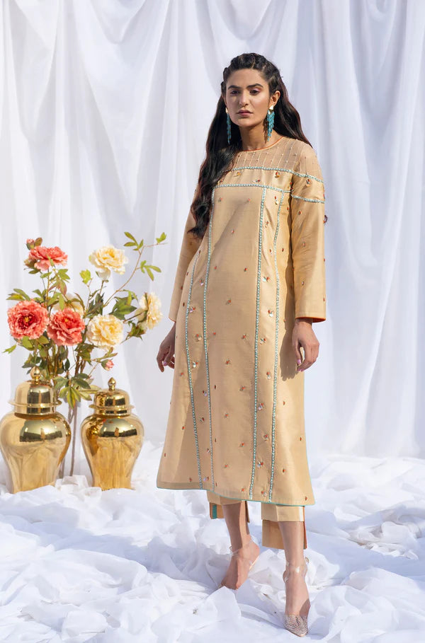 Mani | Silk Embellished Set