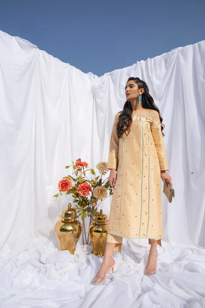 Mani | Silk Embellished Set