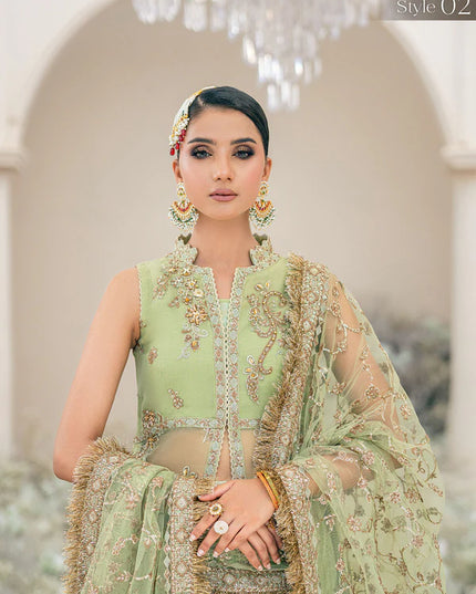 Manno | Green Organza Embellished Dress